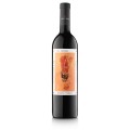 Vino tinto Les Timbes 2021 ECO Albet i Noya 750ml - 0