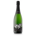 Vino espumoso Efecte Brut Nature Reserva 2023 ECO Albet i Noya 750ml - 0