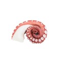 Pata de pulpo cocido +150g - 0