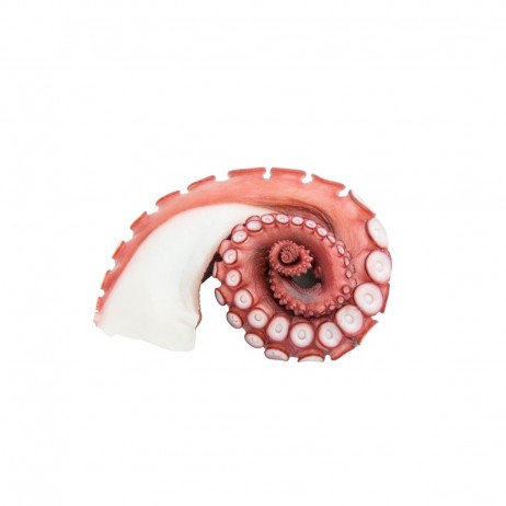 Pata de pulpo cocido +150g - 0