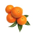Mandarina Llusar Extra - 4 unidades - 0