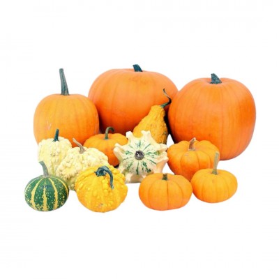 Calabazas para decoración - 2kg