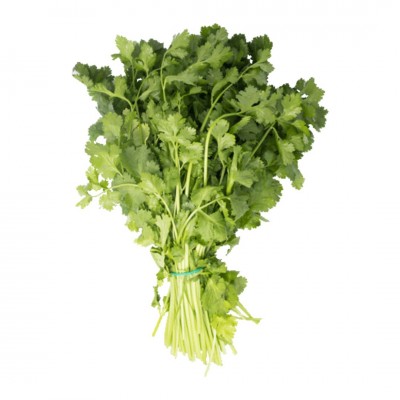 Cilantro ECO - manojo 100g