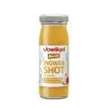 Shot de jengibre Demeter BIO Voelkel 95ml - 0